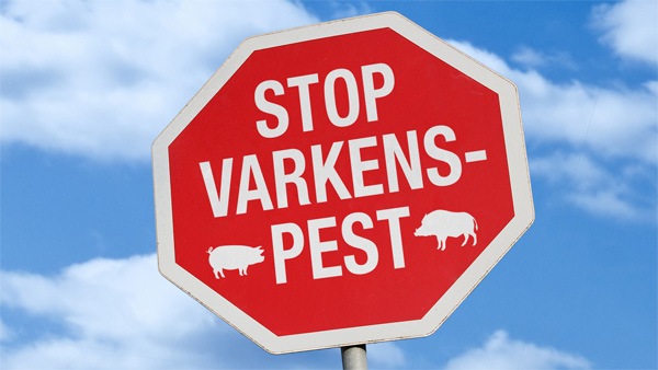 een rood-wit bord met varkens erop