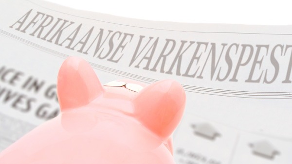 een spaarvarken dat naar een krant kijkt