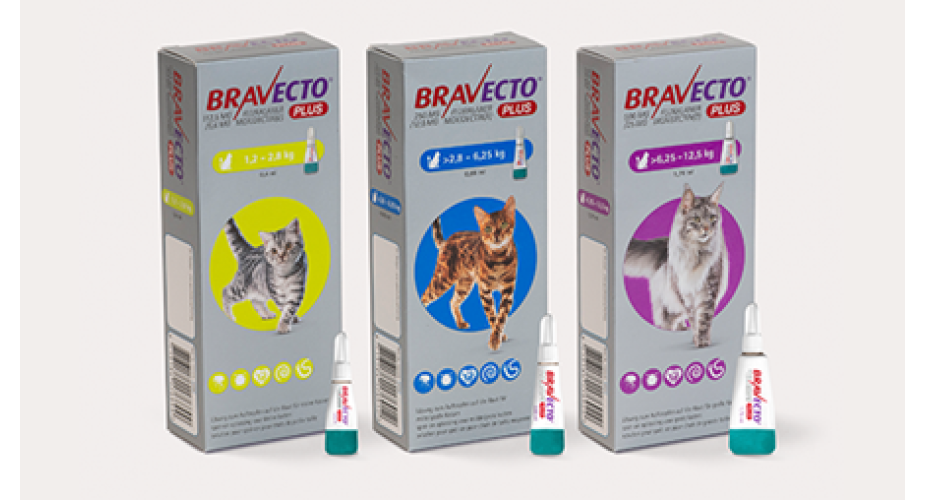 Bravecto Plus voor katten
