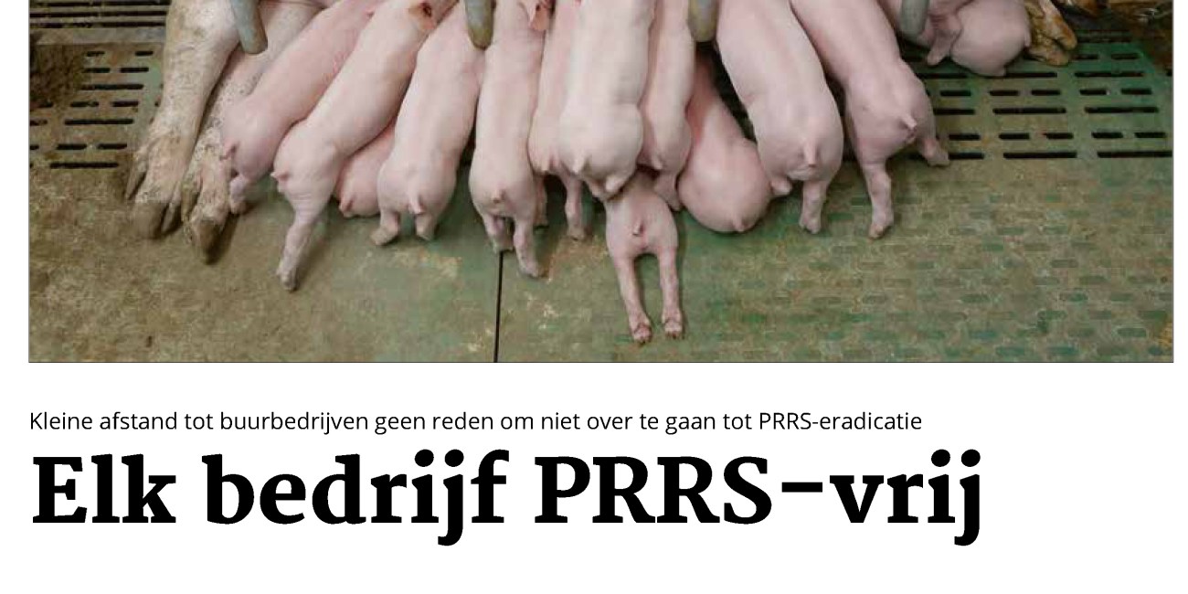 Artikel Piet van Lith Elk bedrijf PRRS vrij