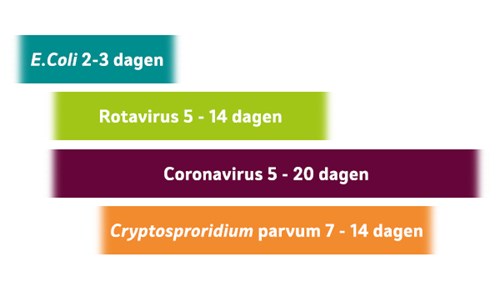 Oorzaak kalverdiarree