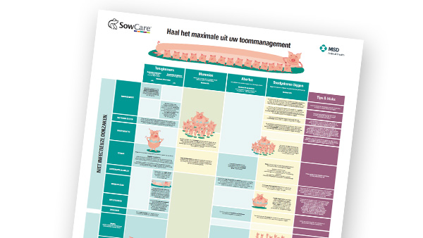 Haal het maximale uit uw toommanagement