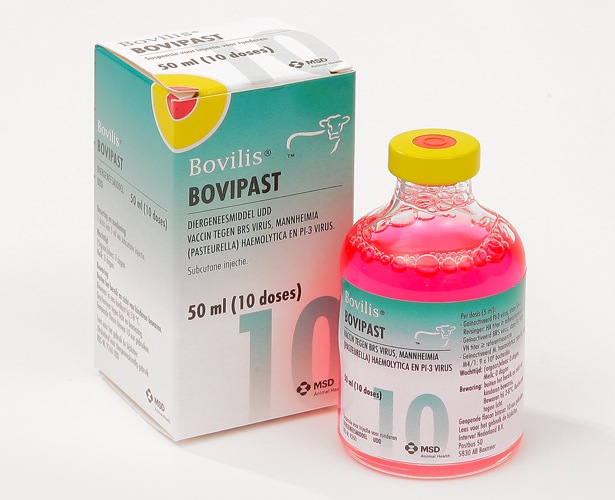 bovilis bovipast 50ml