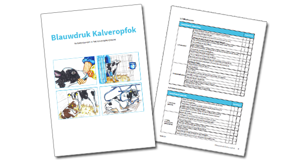 Blauwdruk kalveropfok