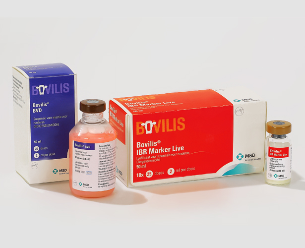 bovilis ibr marker live
