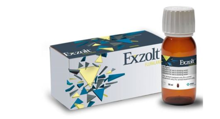 Exzolt 50 ML