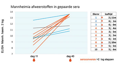 diagnostiek msd