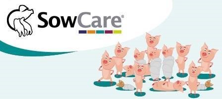 een groep varkens met een logo