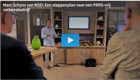 Workshop 'stappenplan naar een PRRS-vrij varkensbedrijf'