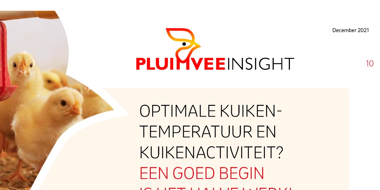 PluimveeInsight kuikenkwaliteit