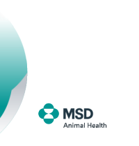 Homepage MSD Animal Health Nederland