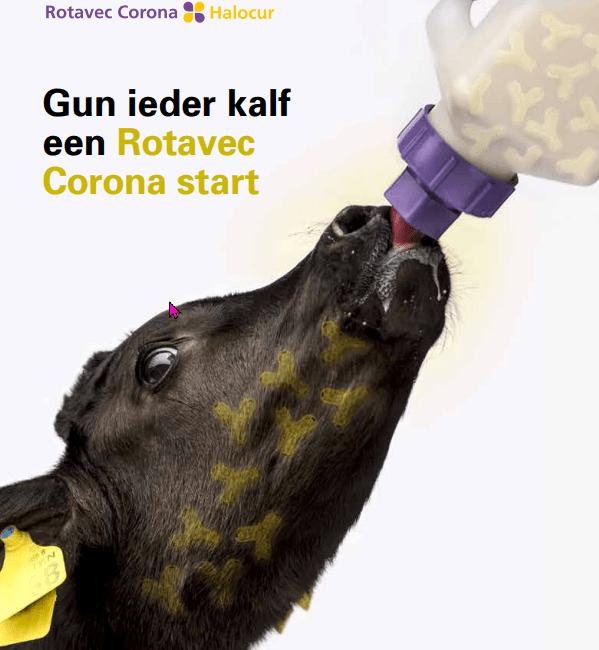 Brochure Rotavec