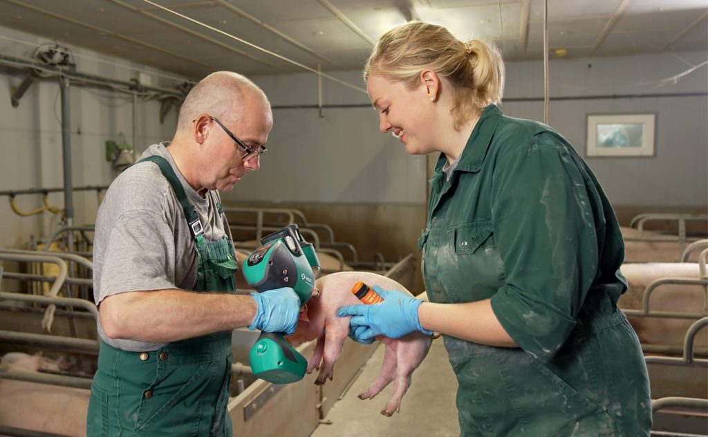 een man en een vrouw die een varken vasthouden