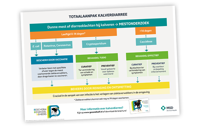 diagram msd